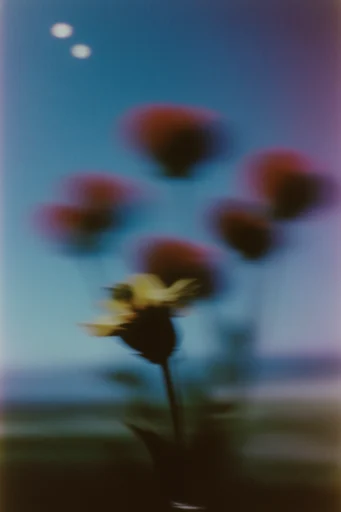 Ethereal Twilight Motion style reference image — liminal melancholy