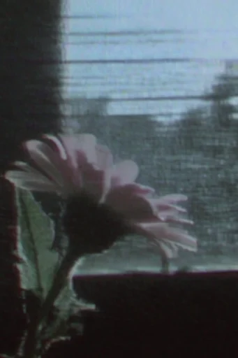 Corrupted Analog Noir style reference image — lo-fi compression