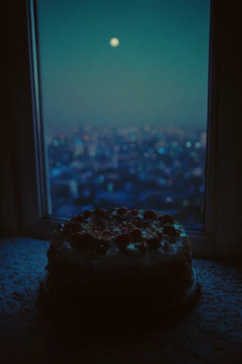 Cinematic Nocturnal Introspection style reference image — voyeuristic perspective