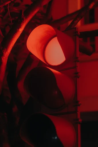 Crimson Noir Futurism style reference image — high-contrast cinematic portrait