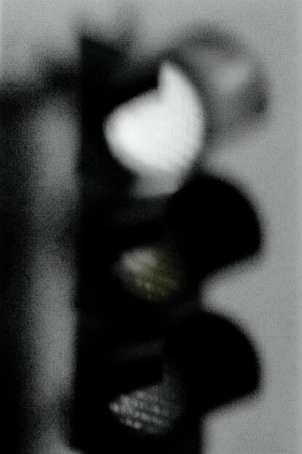 Ethereal Monochrome Noir style reference image — charcoal drawing texture