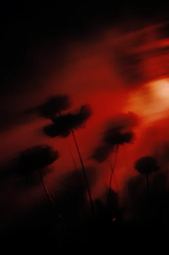 Nocturnal Kinetic Ember style reference image — nocturnal atmosphere