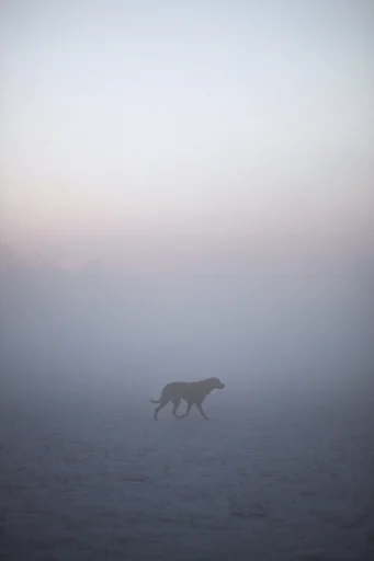 Ethereal Atmospheric Solitude style reference image — dreamy ethereal mood