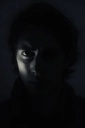Cinematic Nocturnal Noir style reference image — chiaroscuro