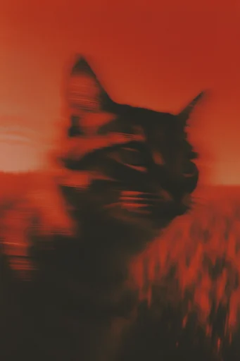 Crimson Kinetic Surrealism style reference image — motion blur