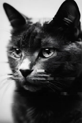 Monochrome Glitch Noir style reference image — datamoshing
