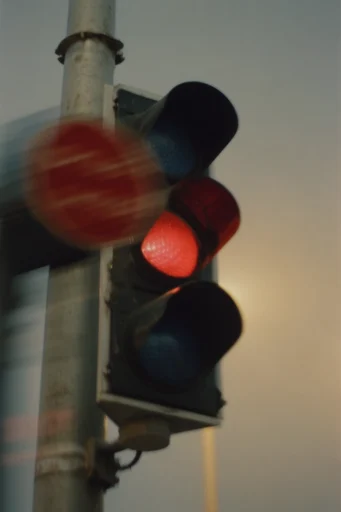 Raw Analog Cinematic style reference image — candid snapshot aesthetic