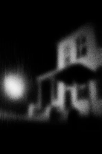 Spectral Nocturnal Grain style reference image — high-contrast monochrome