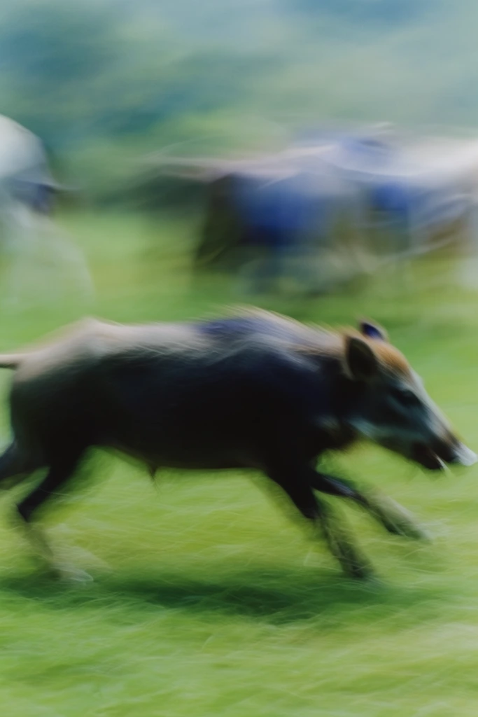 Kinetic Impressionist Motion style AI image example 3