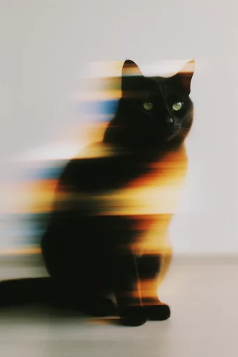 Kinetic Glitch Surrealism style reference image — high-contrast portraiture