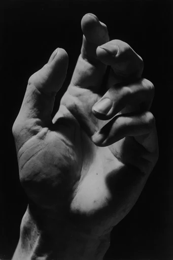 Monochrome Geometric Chiaroscuro style reference image — high-contrast monochrome