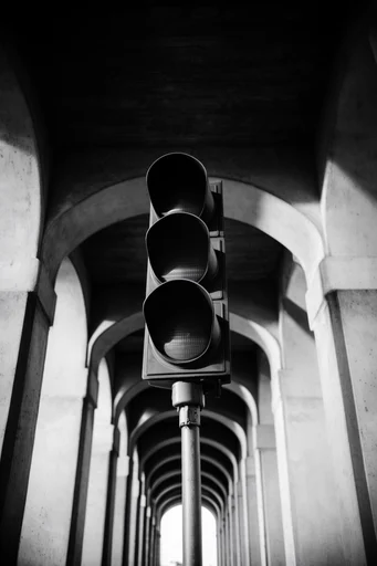 Monochrome Architectural Noir style reference image — high-contrast chiaroscuro lighting