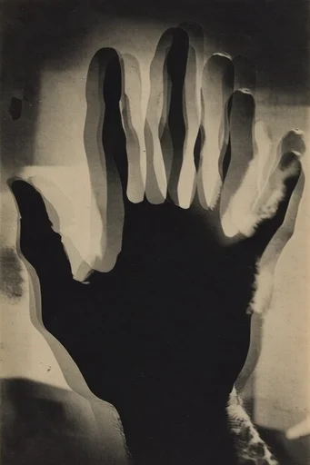 Experimental Darkroom Noir style reference image — rayograph