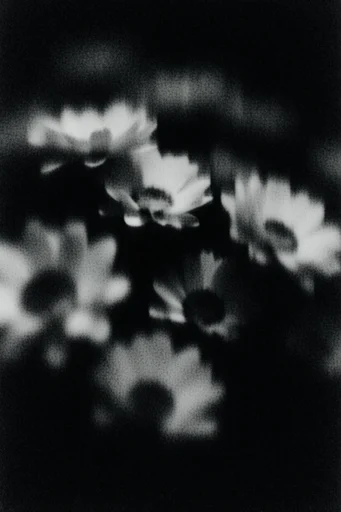 Ethereal Motion Noir style reference image — ghostly silhouette