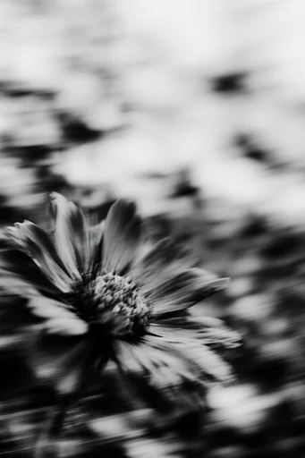 Spectral Analog Noir style reference image — stippled texture
