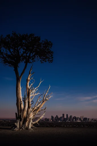 Nocturnal Monolithic Minimalism style reference image — ultramarine indigo sky