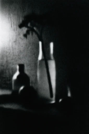 Gritty Monochromatic Noir style reference image — heavy film grain