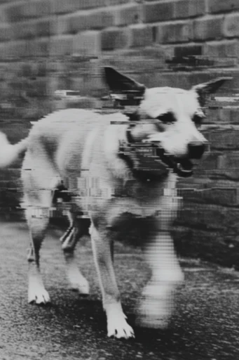 Monochrome Glitch Noir style reference image — spectral motion blur
