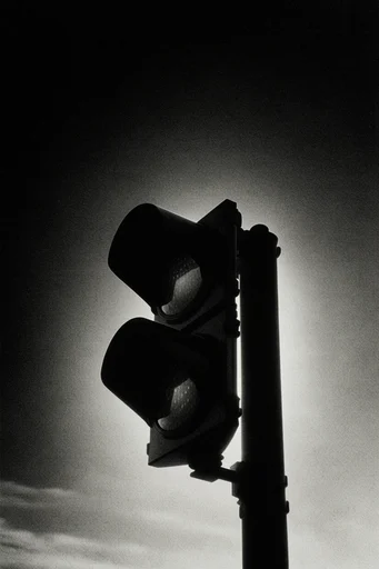 Gritty Cinematic Monochrome style reference image — high contrast black and white