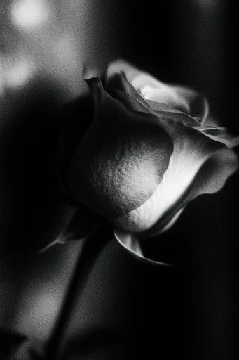 Gritty Noir Analog style reference image — vintage 1970s thriller aesthetic