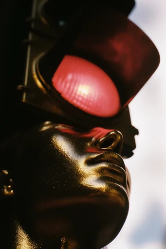 Gilded Obsidian Chiaroscuro style reference image — gilded gold makeup