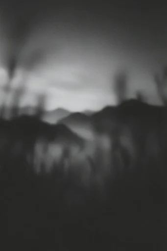 Spectral Monochrome Noir style reference image — high-contrast monochrome