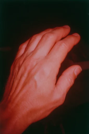 Nocturnal Analog Botanicals style reference image — stark black background