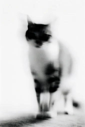Spectral Minimalist Motion style reference image — overexposed minimalist background