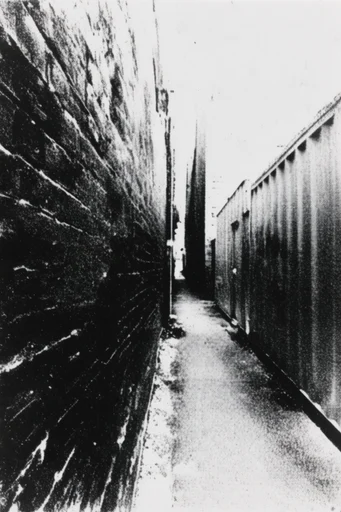 Gritty Monochrome Brutalism style reference image — high-contrast monochrome