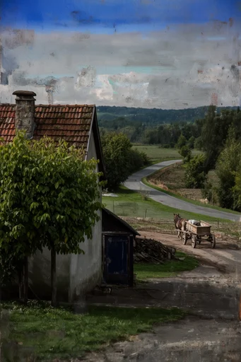 Melancholic Nature Reclamation style reference image — overcast natural light