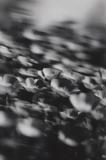 Spectral Noir Motion style reference image — spectral distortion