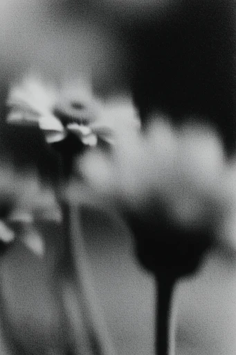Ethereal Noir Pictorialism style reference image — high-contrast shadows