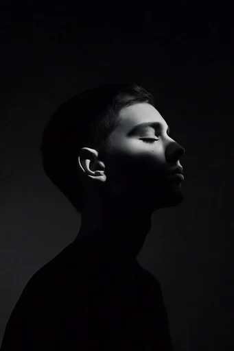 Cinematic Monochrome Noir style reference image — atmospheric film grain