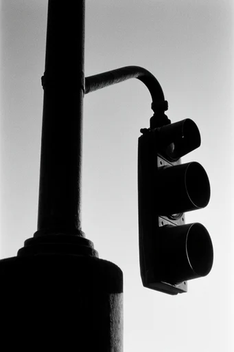 Gritty Monochrome Noir style reference image — stark silhouettes