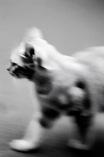 Monochrome Kinetic Glitch style reference image — pixel decay