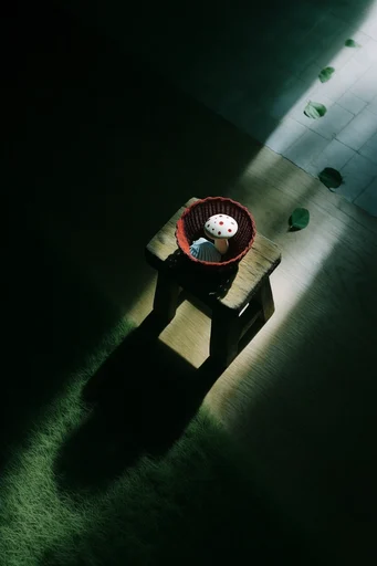 Cinematic Chiaroscuro Minimalism style reference image — top-down aerial perspective