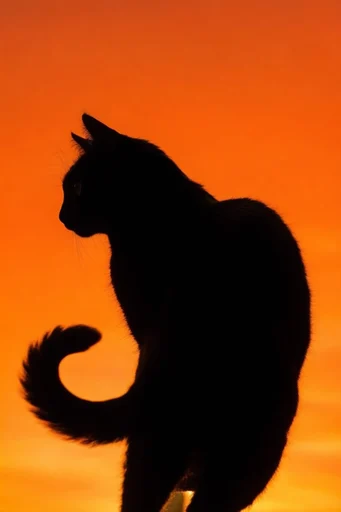 Cinematic Amber Silhouette style reference image — cinematic noir atmosphere