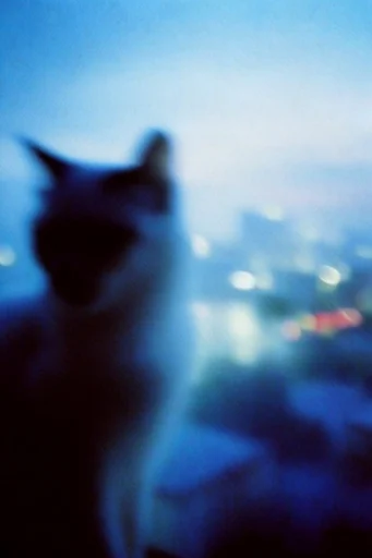 Nocturnal Glitch Melancholy style reference image — lo-fi film grain