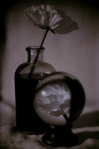 Cinematic Retro Noir style reference image — dramatic chiaroscuro lighting