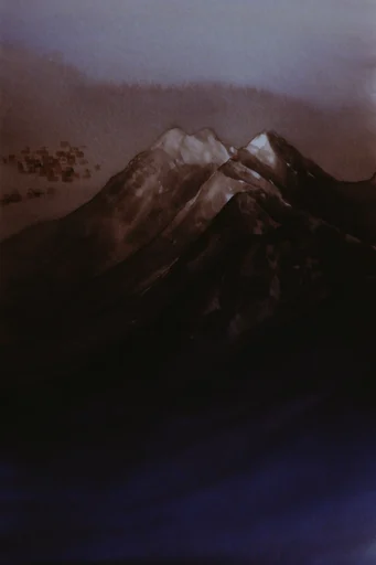 Cinematic Nocturnal Noir style reference image — duotone color palette