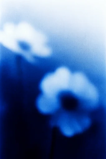 Spectral Indigo Noir style reference image — risograph texture