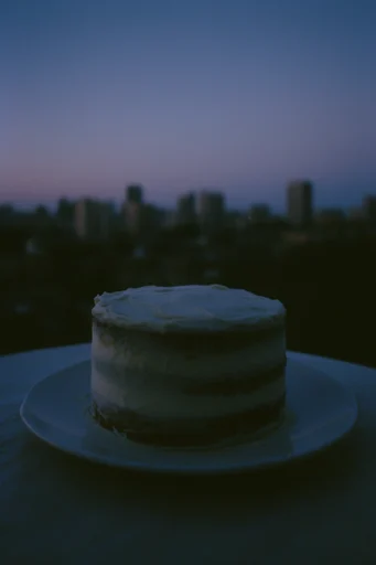 Cinematic Twilight Solitude style reference image — overcast diffused lighting