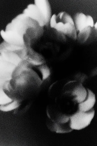 Cinematic Chiaroscuro Noir style reference image — moody shadow play