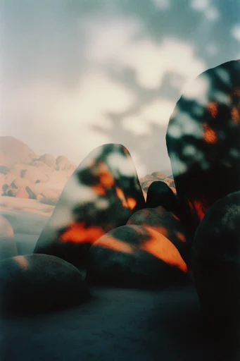 Ethereal Analog Dreamscape style reference image — analog film grain