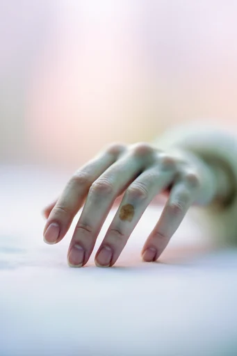 Ethereal Pastel Botanical style reference image — shallow depth of field