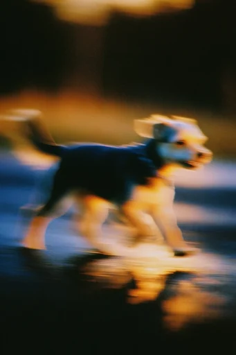 Spectral Kinetic Motion style reference image — intentional camera movement