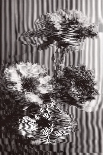 Monochrome Glitch Topology style reference image — topographical wave pattern