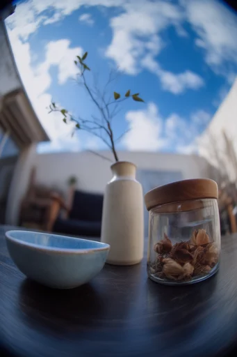 Dynamic Fisheye Perspective style reference image — dynamic low-angle perspective