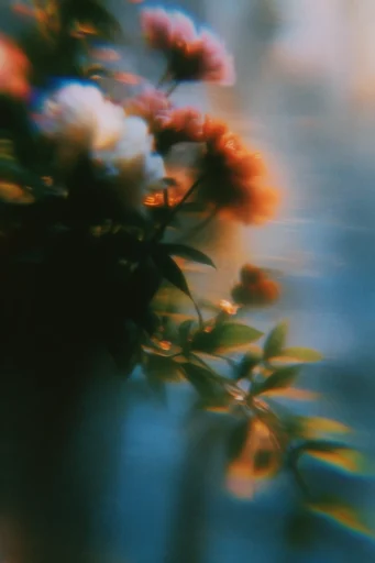 Ethereal Analog Nostalgia style reference image — lo-fi dreamcore