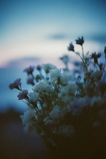 Ethereal Twilight Nostalgia style reference image — surreal melancholia